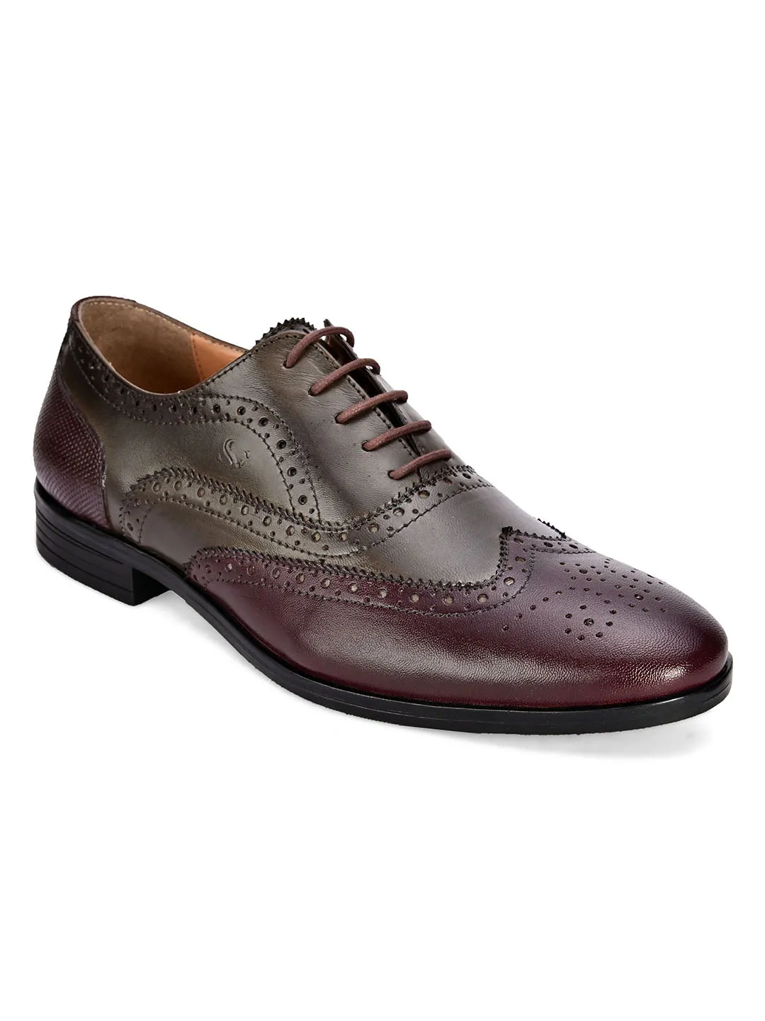 Cole Dual Tone Brogue Shoes