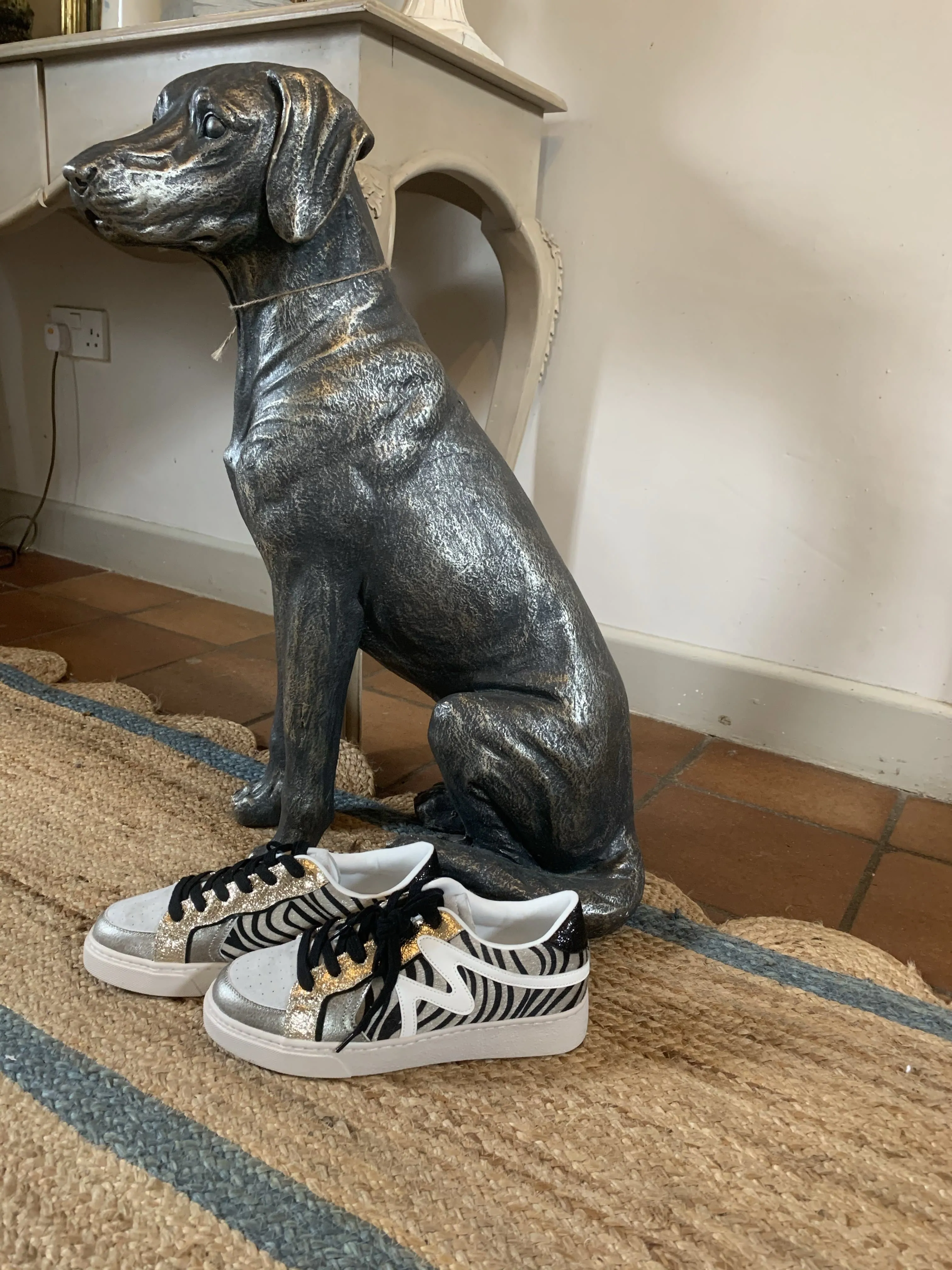 Holkham Metallic Zebra Trainer