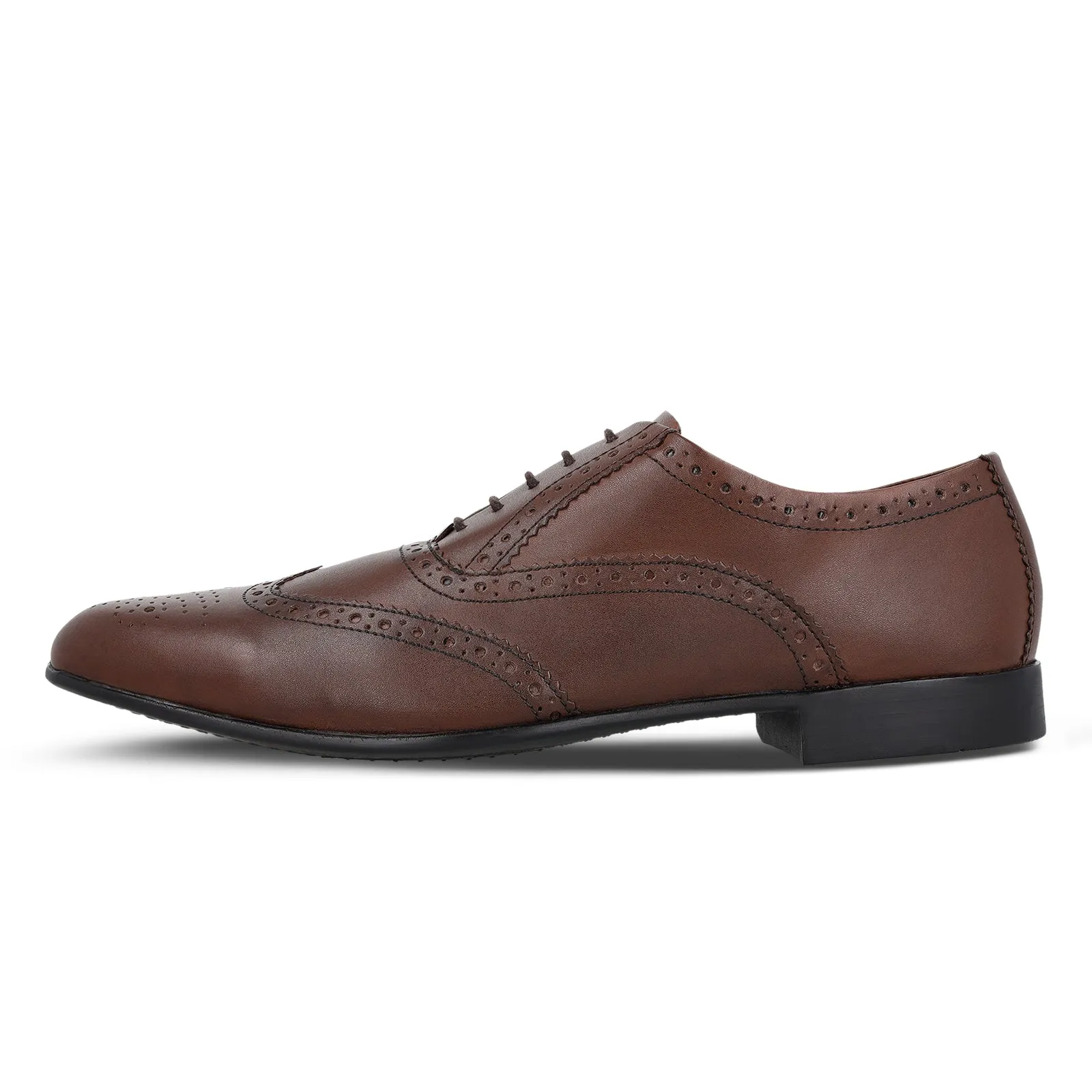 Walkaroo  Leather Men formals Shoes - WF6055 Brown